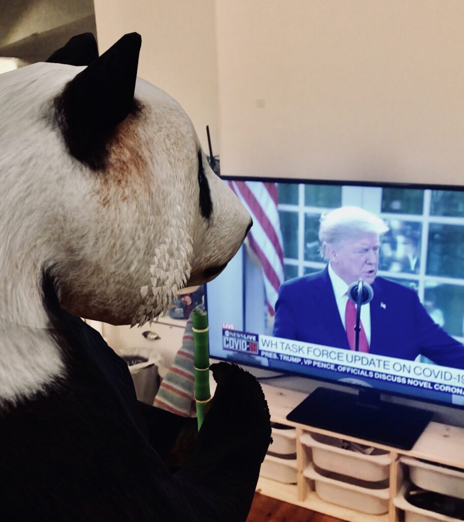 Giant Panda